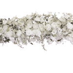 chemin-de-fleurs ines blanche vue de face