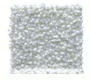 mur-fleurs blanc vue de face