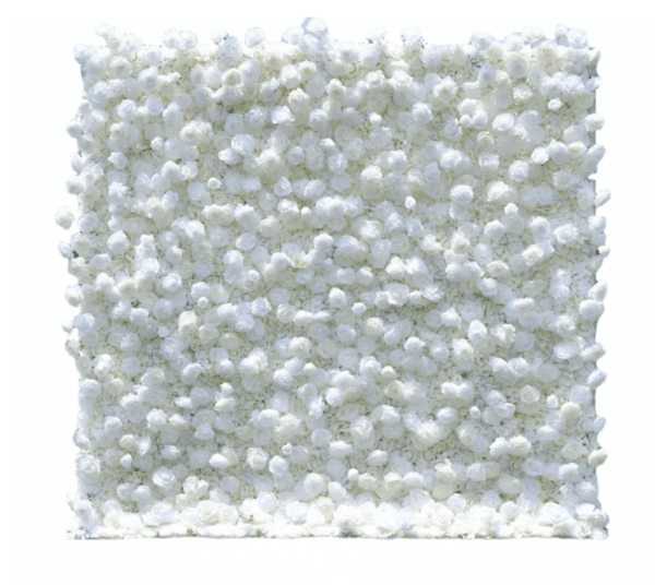 mur-fleurs blanc vue de face