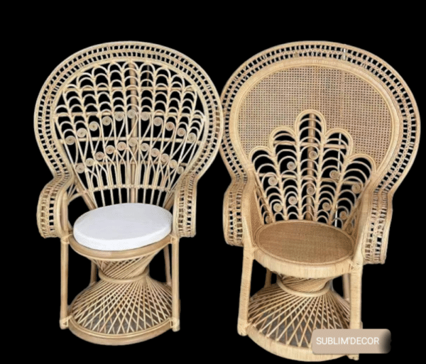 Fauteuil emmanuelle avec et sans galette blanche vue de face