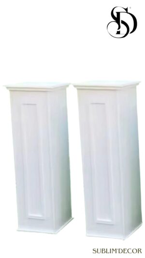 Lot 2 colonnes style romaine